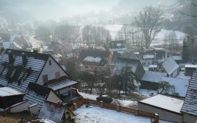 Der ungestüme Hutanger von Artelshofen