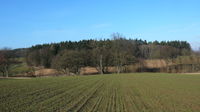 P1060666