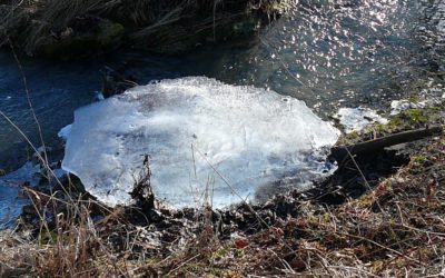 Der Schattenanger bei Sendelbach, ein Hutanger mit Charakter
