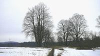P1060840ab