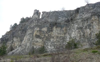 Auf der Suche nach Blumen im Krammetsbühler Anger