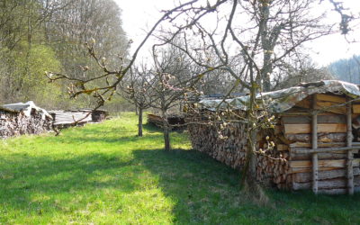 Etwas ratlos beim Anger Claramühle