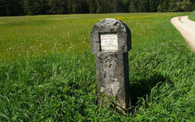 Im Waller-Anger liegt ein Hüllweiher