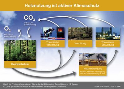 Bild_Grafiken_001_Holznutzung_ist_aktiver_Klimaschu