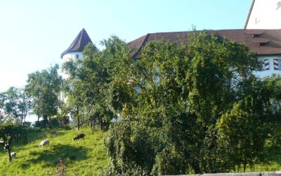 Mit Nicole Wirl zu den Hutangern im unteren Hammerbachtal