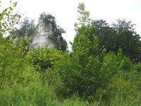 P1070747