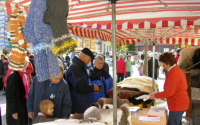 Tag der Regionen 2009 in Engelthal