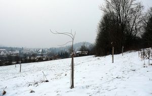 P1080725
