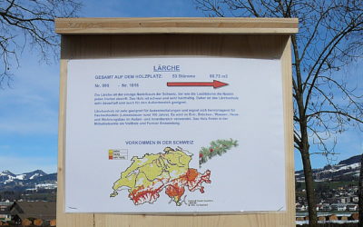 Holz aus der Region