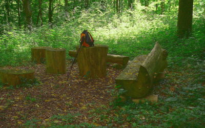 Sichtbare Nachhaltigkeit: der Wengleinpark ein Jahr danach