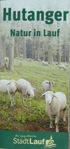 Hutanger: Natur in Lauf a.d. Pegnitz