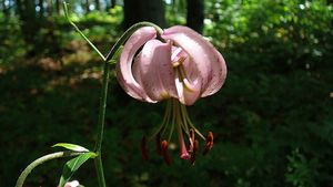 P1110438