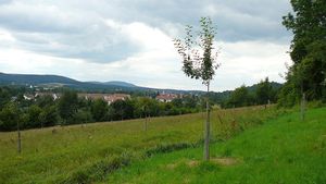 P1120052