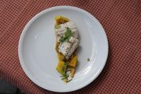 BIOerleben11Samstag_0193