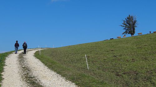 Dsc01013