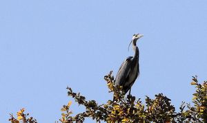 Dsc01032a