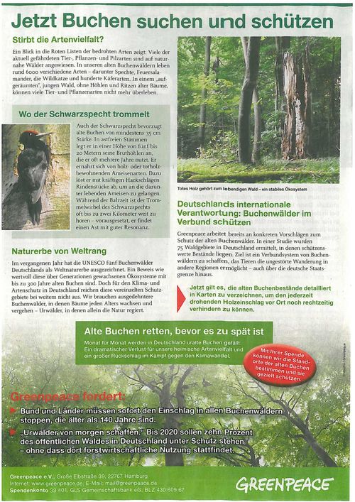 BuchenS2web