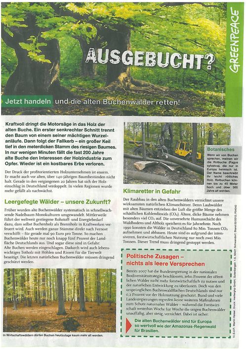BuchenS1web