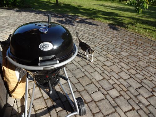 13GrilltestRehruecken_0006