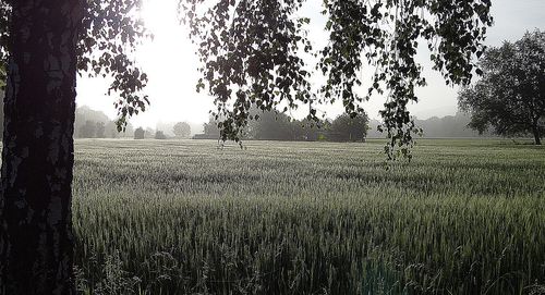 Dsc01996