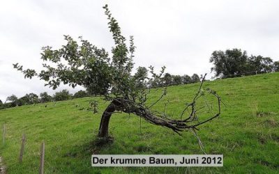 Für Sabine