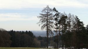 Dsc03175