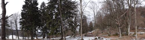 Dsc03180