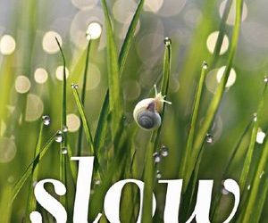 Natur- und Entschleunigungs-Film SLOW ab heute im Kino
