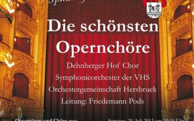 Große Oper am Samtag, 20.7. in Lauf im Spitalhof