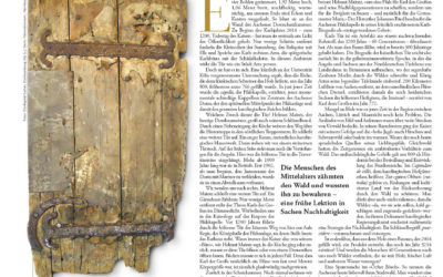 Über die Langlebigkeit von Holz am Beispiel einer 1500 Jahre alten Tür – von Ulrich Grober