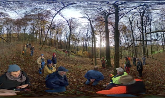 Unsere Buche – wie die Forstbetriebsgemeinschaft faires Holz garantiert und die Waldschöpfungskette bei den Möbelmachern vervollständigt wird