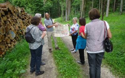 Die Waldführung mit Sigi Huber bei den Werkstatt-Tagen und warum unser Holz von der FBG kommt