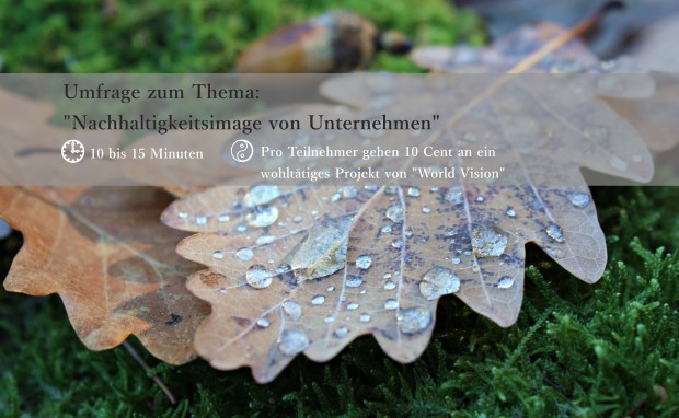 UMFRAGE_NACHHALTIGKEITSIMAGE VON UNTERNEHMEN