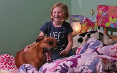 Monster unter dem Bett? Warum unsere 360 Grad Kugelkamera von Panono für uns so wertvoll ist
