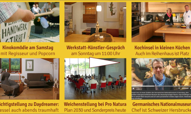 Newsletter 158: Werkstatt-Tage am Wochenede, Kinokomödie, Kunst, Kochinsel, Klimaanlage, Pro Natura, neuer Relaxsessel