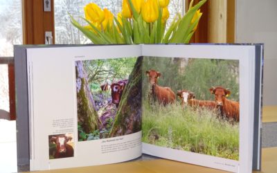 Kaufempfehlung für das Buch „Wilde Alb“, herausgegeben vom Naturschutzzentrum Wengleinpark