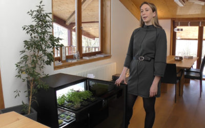 Plantcube von Agrilution (by Miele) im Dauertest der Möbelmacher