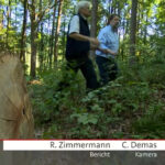 Fernsehbeitrag über unsere regionale Waldschöpfungskette am Freitag 17:30 in der Frankenschau