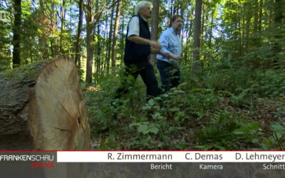 Fernsehbeitrag über unsere regionale Waldschöpfungskette am Freitag 17:30 in der Frankenschau