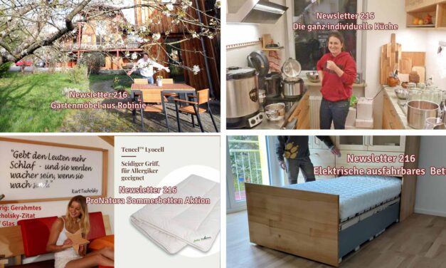 Newsletter 216 im April: Actionhelden F. Kusz, D. Scheck, U. Plank; Küche in Lindau; elektrisches Schrankbett; Sommerzudecken; Hifirack in Elsbeere; Wozi und Sessel bei Übriges;