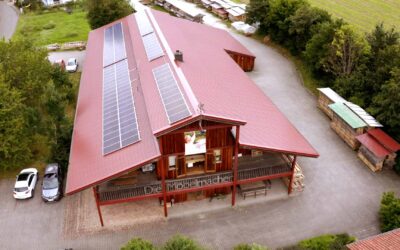 Newsletter 224: Tag des Schreiners/Küche am 8.11. mit Kochworkshop; Sonderaktionen Sofa und ProNatura; ÜBRIGES mit Edelschrank und -Schreibtisch; neuer Schallplattenschrank und Schreibtisch; Snare-Couchtisch als Notenständer;