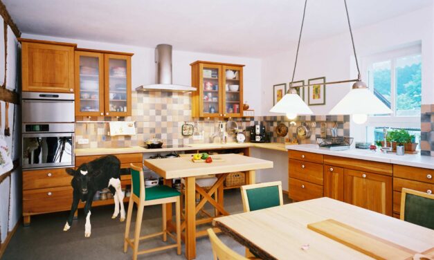 Die 10 neuesten Küchentrends für 2026 und wie die bei uns schon lange gelebt werden