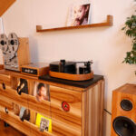 Für unseren Schallplattenschrank wurden wir vom Deutschen Innovationsinstitut als BUSINESS INNOVATOR ausgezeichnet und von FOCUS bekamen wir die INNOVATIONS-CHAMPIONS-Urkunde zugeschickt, aber alles ist ein wenig seltsam …