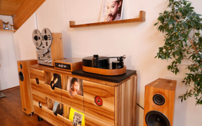 Für unseren Schallplattenschrank wurden wir vom Deutschen Innovationsinstitut als BUSINESS INNOVATOR ausgezeichnet und von FOCUS bekamen wir die INNOVATIONS-CHAMPIONS-Urkunde zugeschickt, aber alles ist ein wenig seltsam …