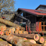 Bretterbericht 2026: Die Holzanlieferung für die regionale Waldschöpfungskette