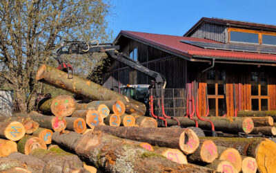 Bretterbericht 2026: Die Holzanlieferung für die regionale Waldschöpfungskette