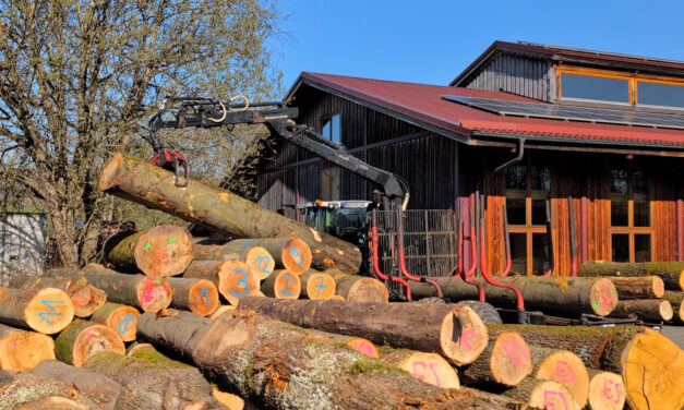 Bretterbericht 2026: Die Holzanlieferung für die regionale Waldschöpfungskette