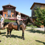 Nachfolgediskussion treibt lustige Blüten – Ponyhof in Unterkrumbach