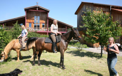 Nachfolgediskussion treibt lustige Blüten – Ponyhof in Unterkrumbach