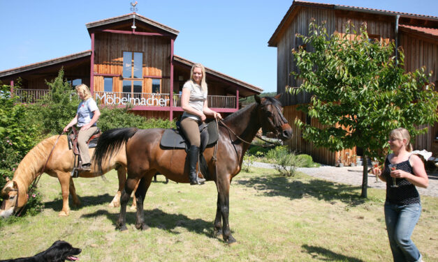 Nachfolgediskussion treibt lustige Blüten – Ponyhof in Unterkrumbach